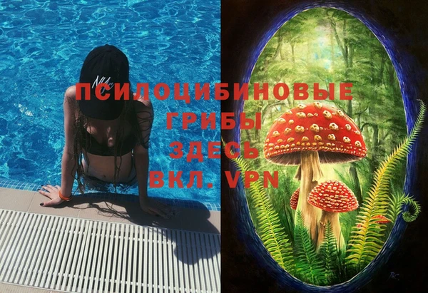бошки Бронницы